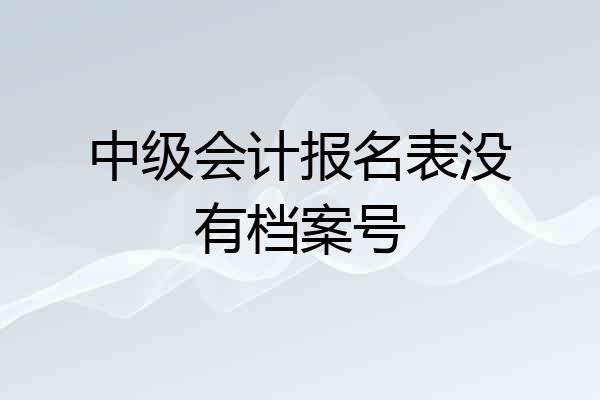 中级会计报名表没有档案号