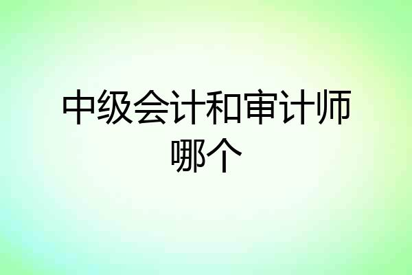 中级会计和审计师哪个