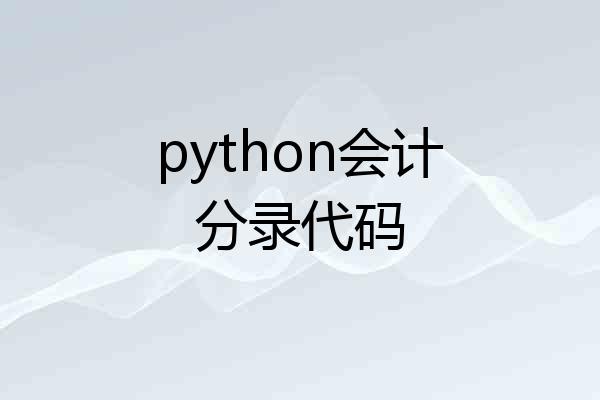 python会计分录代码