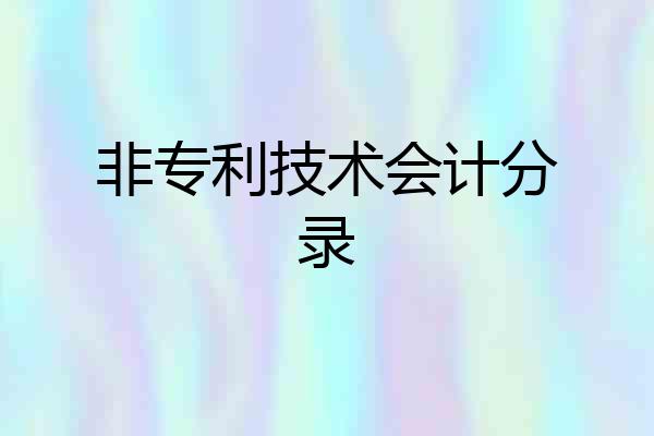 非专利技术会计分录