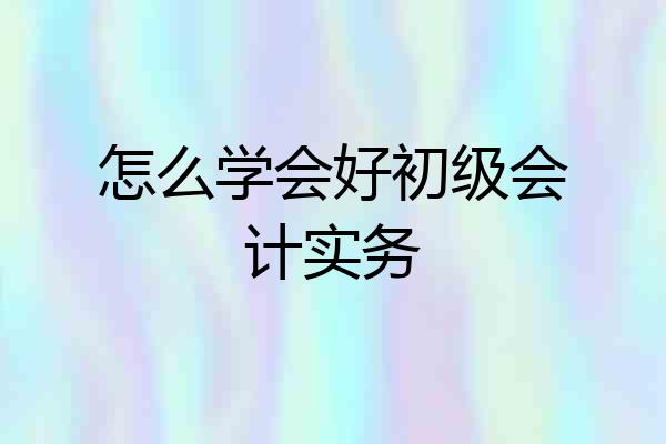 怎么学会好初级会计实务