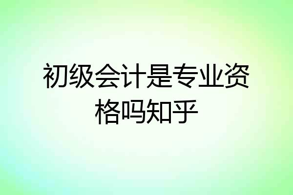 初级会计是专业资格吗知乎