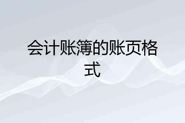 会计账簿的账页格式