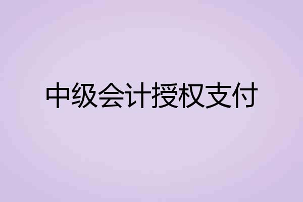 中级会计授权支付