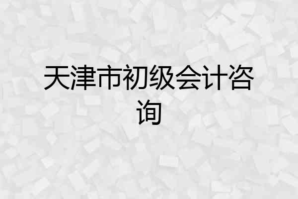 天津市初级会计咨询