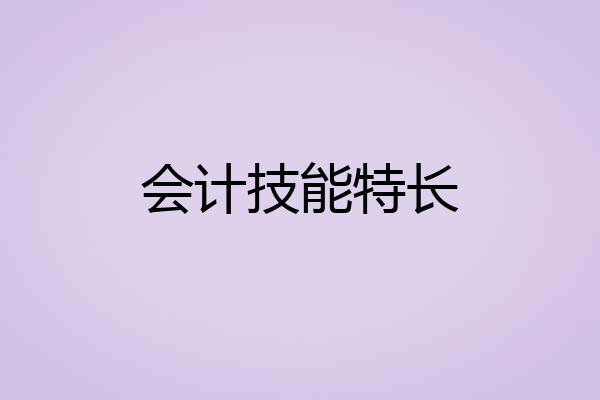 会计技能特长