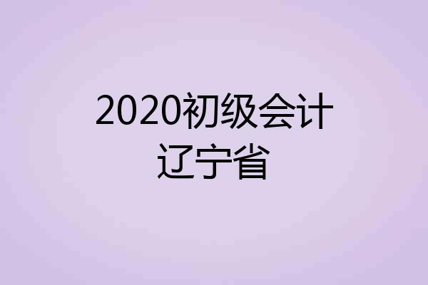 2020初级会计辽宁省