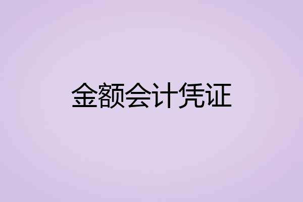 金额会计凭证