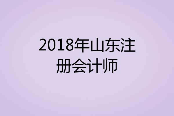 2018年山东注册会计师
