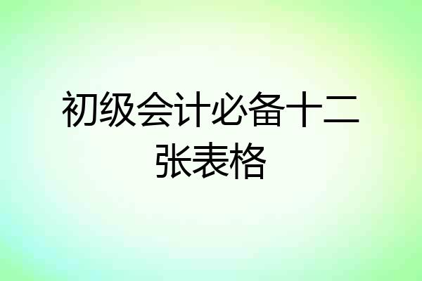 初级会计必备十二张表格