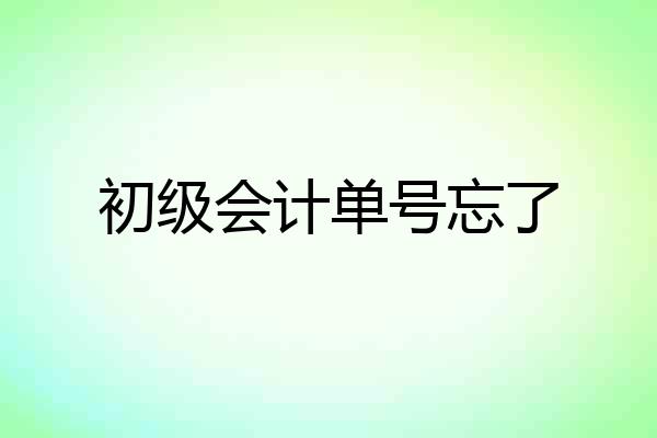 初级会计单号忘了