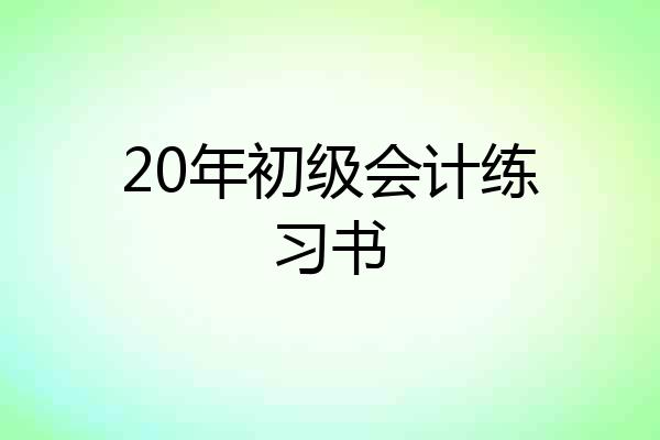 20年初级会计练习书