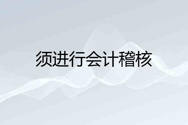 须进行会计稽核