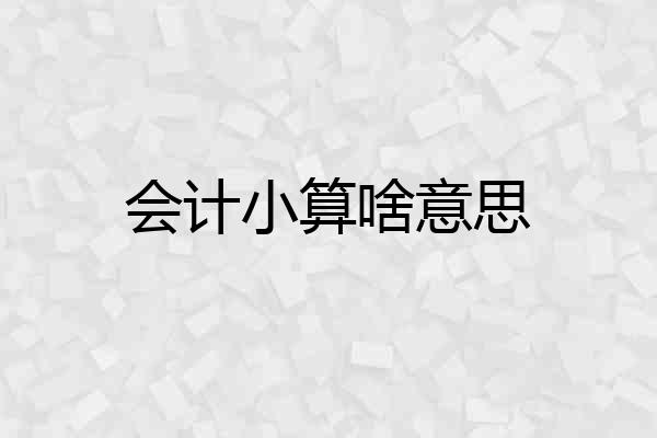 会计小算啥意思