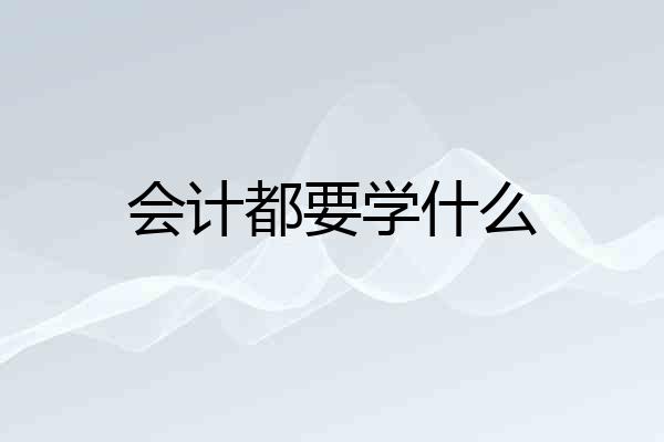 会计都要学什么
