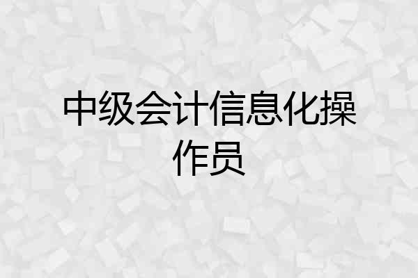 中级会计信息化操作员