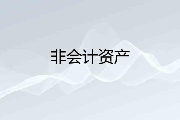 非会计资产