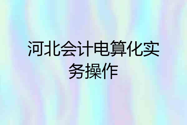 河北会计电算化实务操作