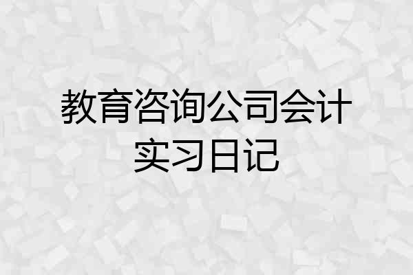 教育咨询公司会计实习日记