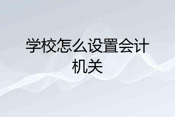 学校怎么设置会计机关