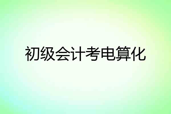 初级会计考电算化