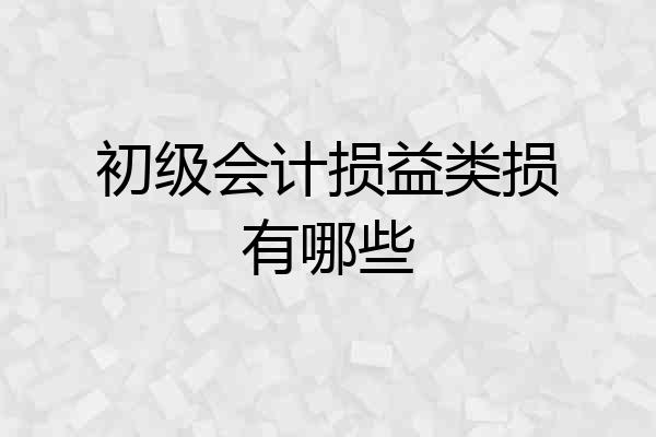 初级会计损益类损有哪些