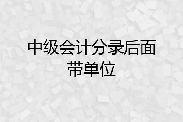 中级会计分录后面带单位