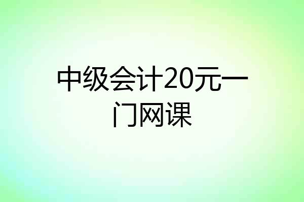 中级会计20元一门网课