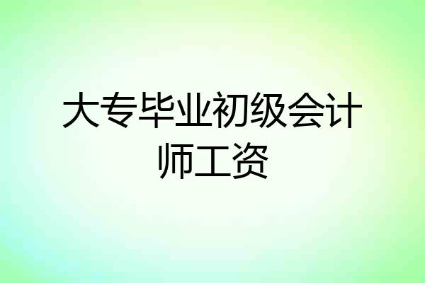 大专毕业初级会计师工资