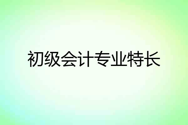 初级会计专业特长
