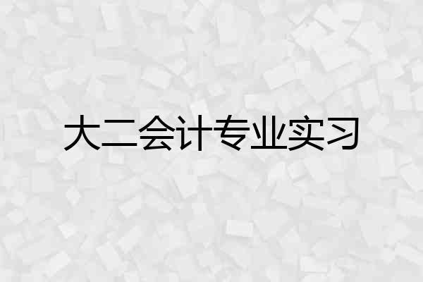 大二会计专业实习