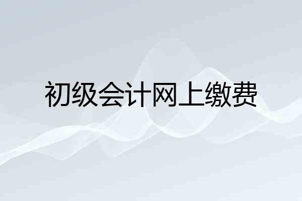 初级会计网上缴费