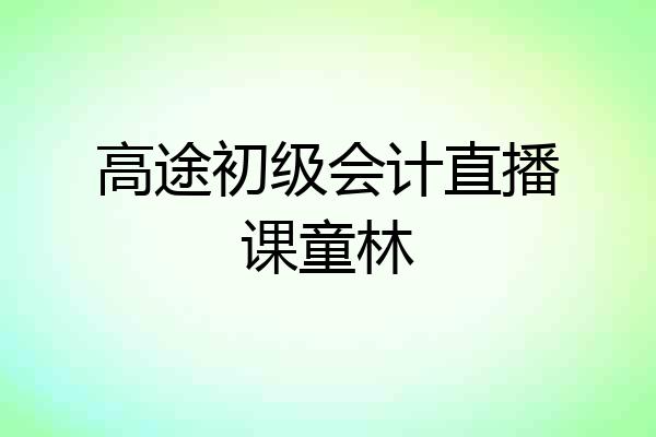 高途初级会计直播课童林