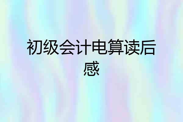 初级会计电算读后感