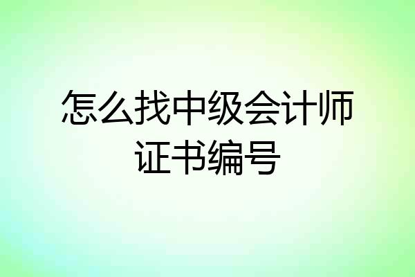 怎么找中级会计师证书编号