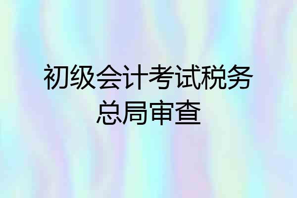 初级会计考试税务总局审查