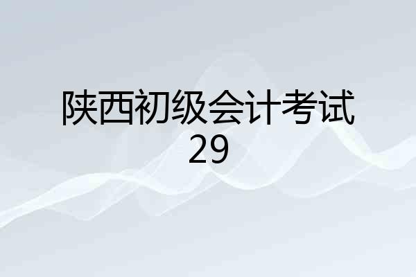 陕西初级会计考试29