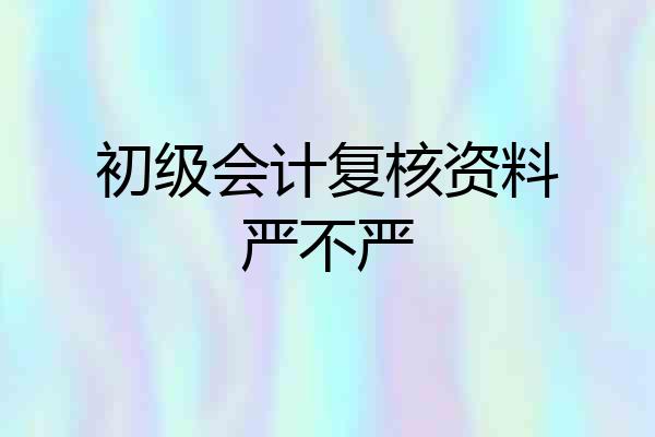 初级会计复核资料严不严