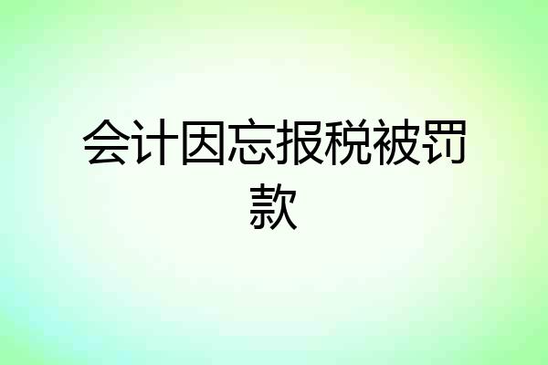 会计因忘报税被罚款