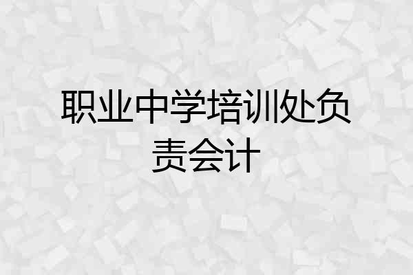 职业中学培训处负责会计