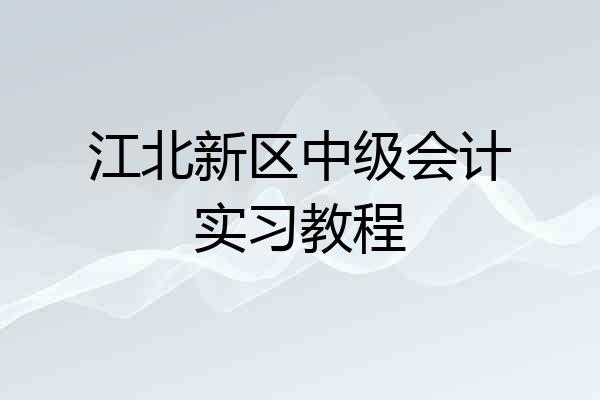 江北新区中级会计实习教程
