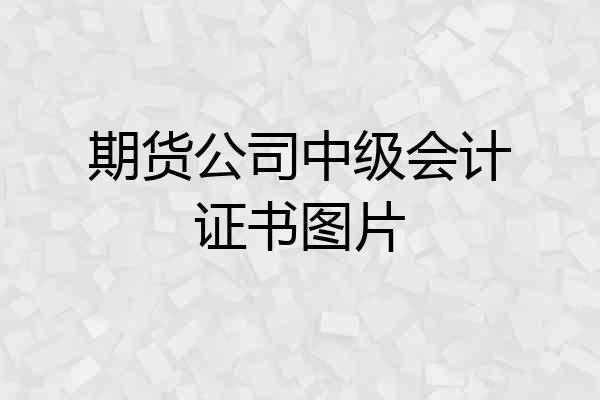 期货公司中级会计证书图片