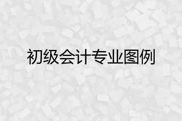 初级会计专业图例