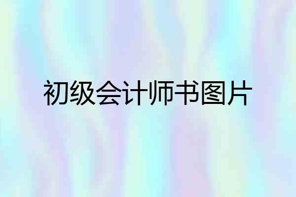 初级会计师书图片