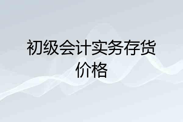 初级会计实务存货价格