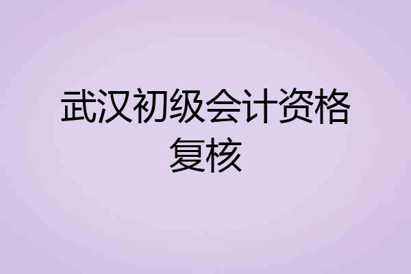 武汉初级会计资格复核