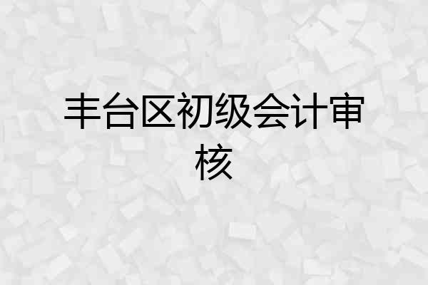 丰台区初级会计审核