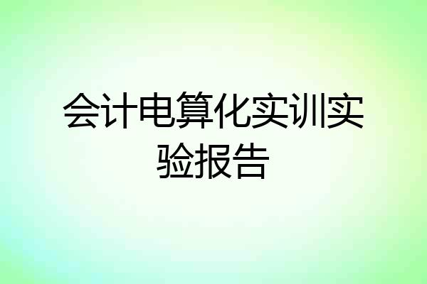 会计电算化实训实验报告