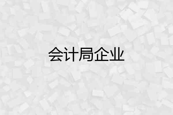 会计局企业