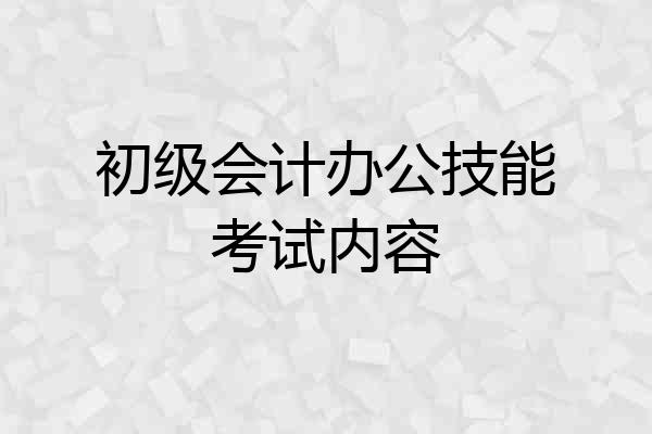 初级会计办公技能考试内容